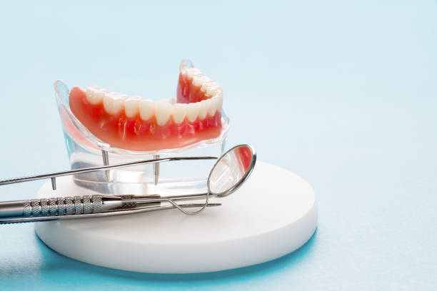 Professional Holistic Dental Care Services in Bryn Athyn, PA